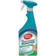 Simple Solution Cat Stain and Odor Remover For Discount