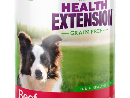 Health Extension Grain Free 95% Beef Canned Dog Food Hot on Sale