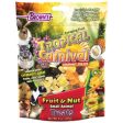 TROPICAL CARNIVAL FRUIT & NUT SMALL ANIMAL TREATS For Discount