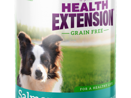 Health Extension Holistic Grain Free 95% Salmon Canned Dog Food Sale