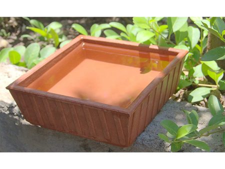 Nature Forever Teracotta Earthen Pot for Birds (20 x 10 x 20 cm) Online